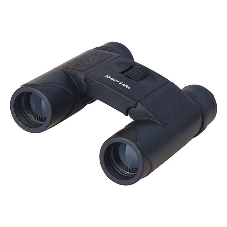 10X25 Binoculars For Birding