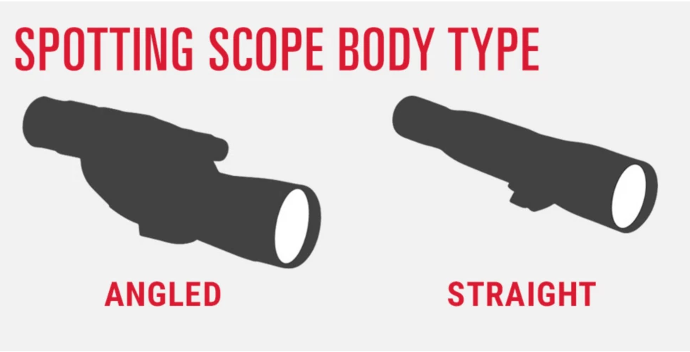 info-975-498 info-975-498