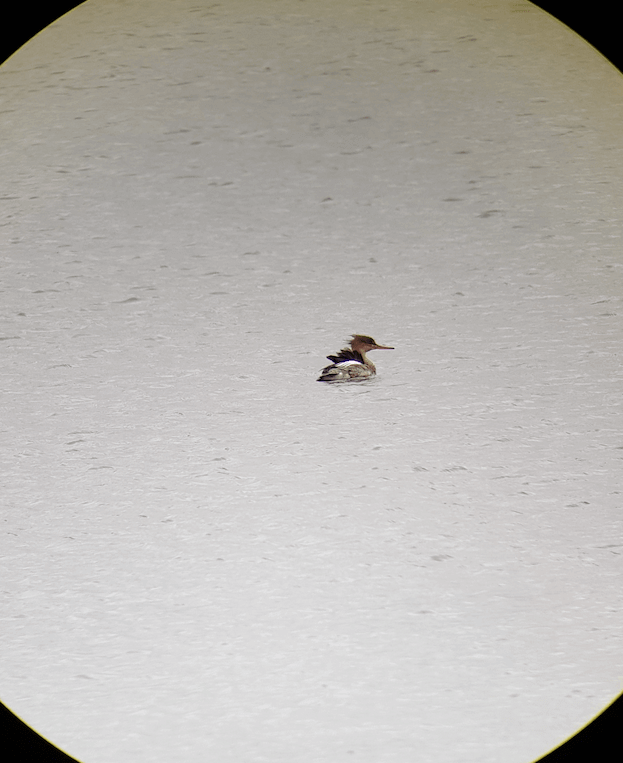 info-623-763 info-623-763