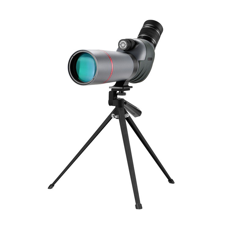 product-750-750 product-750-750